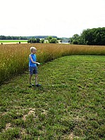 2008 KiteFestival-016.jpg